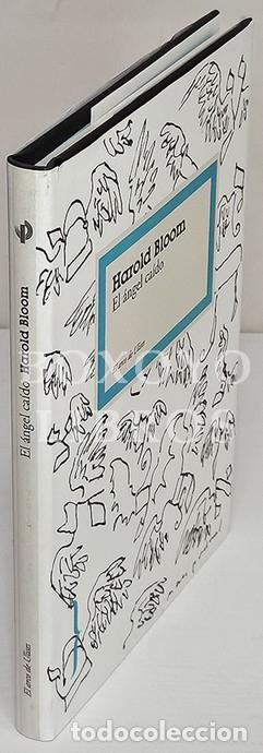books: BLOOM, Harold. El &aacute;ngel ca&iacute;do