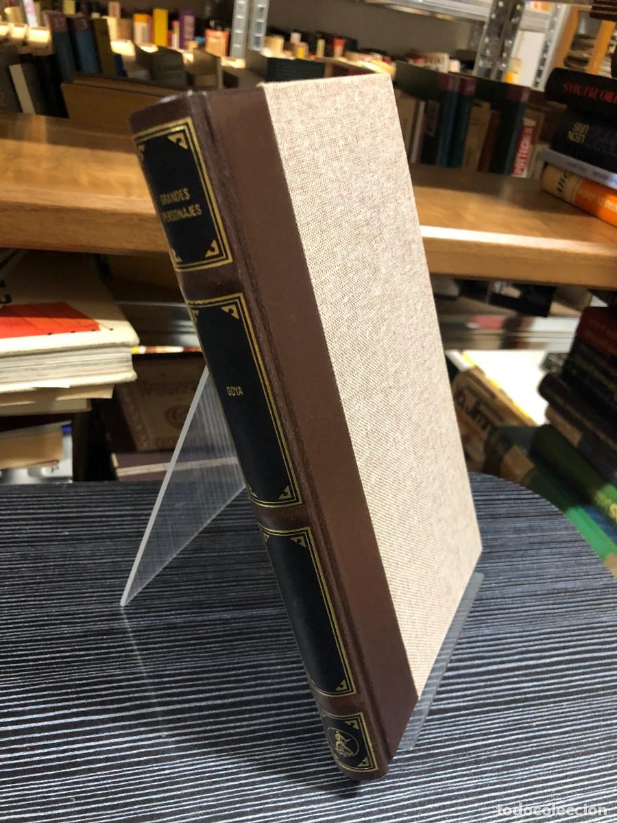 books: Goya Antonina Vallentin