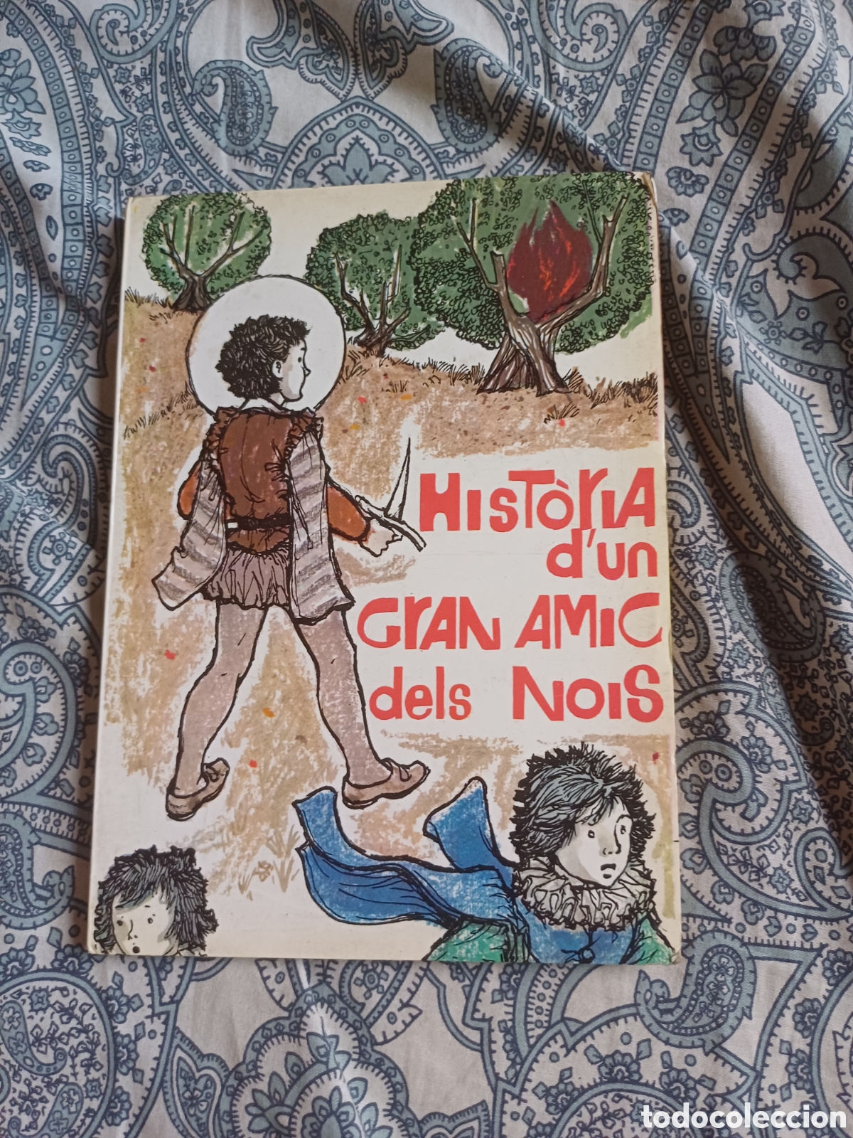 Libros: Hist&ograve;ria d'un gran amic dels nois Sant Josep de Calassan&ccedil; Fundador Escola Pia Josep Sol&agrave; - Lluci&agrave;