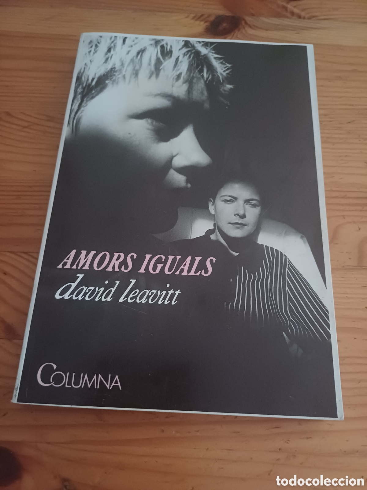 Libros: Amors iguals David Leavitt Columna - en catal&agrave;