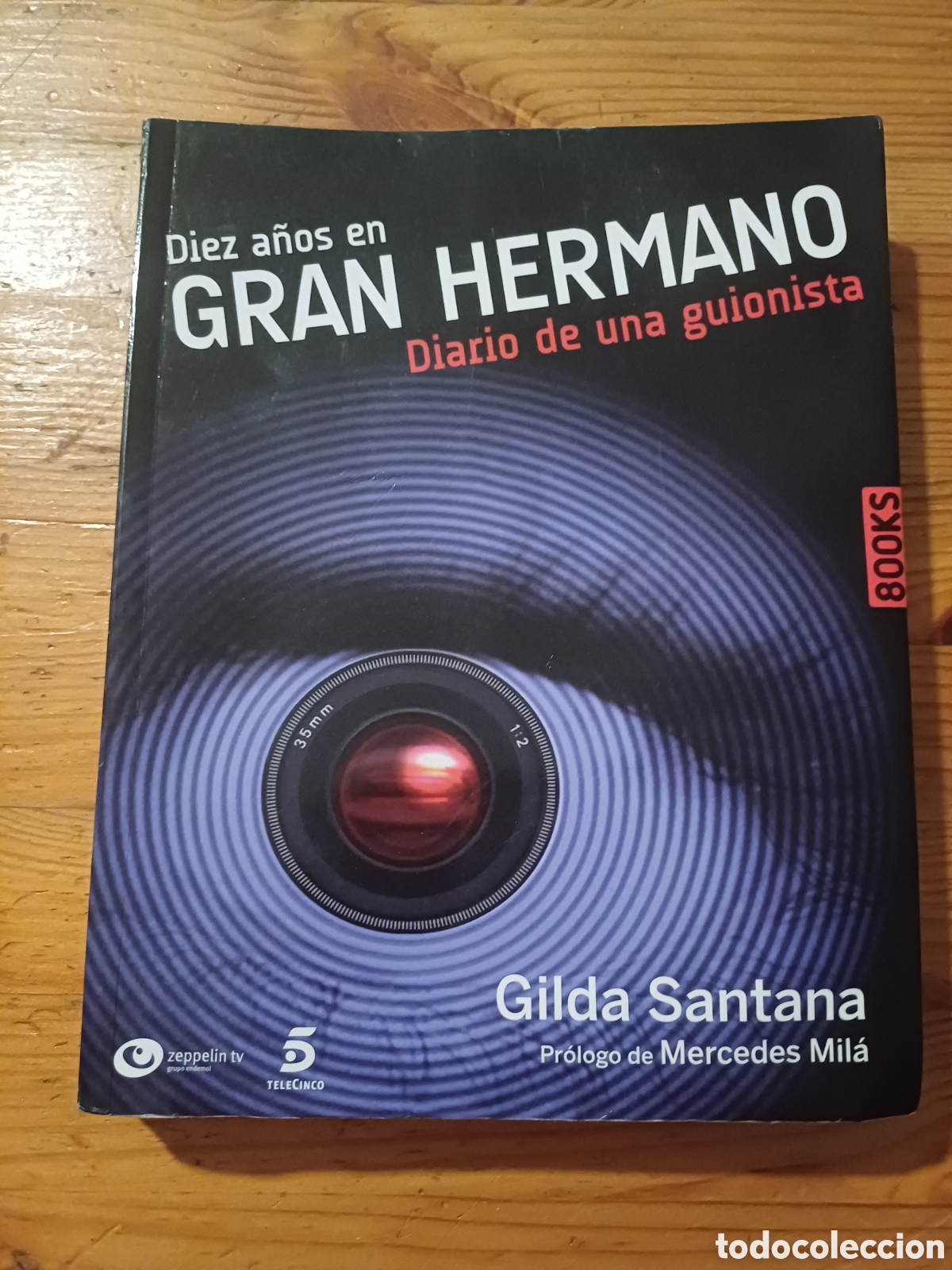 Libros: Diez a&ntilde;os en Gran Hermano Gilda Santana guionista TV reality Pr&oacute;logo Mercedes Mil&aacute; Telecinco