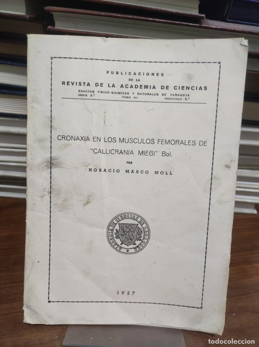 Libros: Publicaci&oacute;n acad&eacute;mica: &rdquo;Cronaxia en los m&uacute;sculos femorales de 'Callicrania miegi' Bol.&rdquo; (1957) Horac
