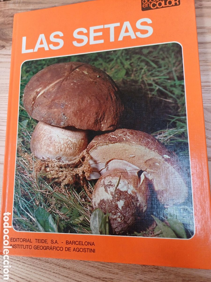 books: Las setas-ed.teide 1973