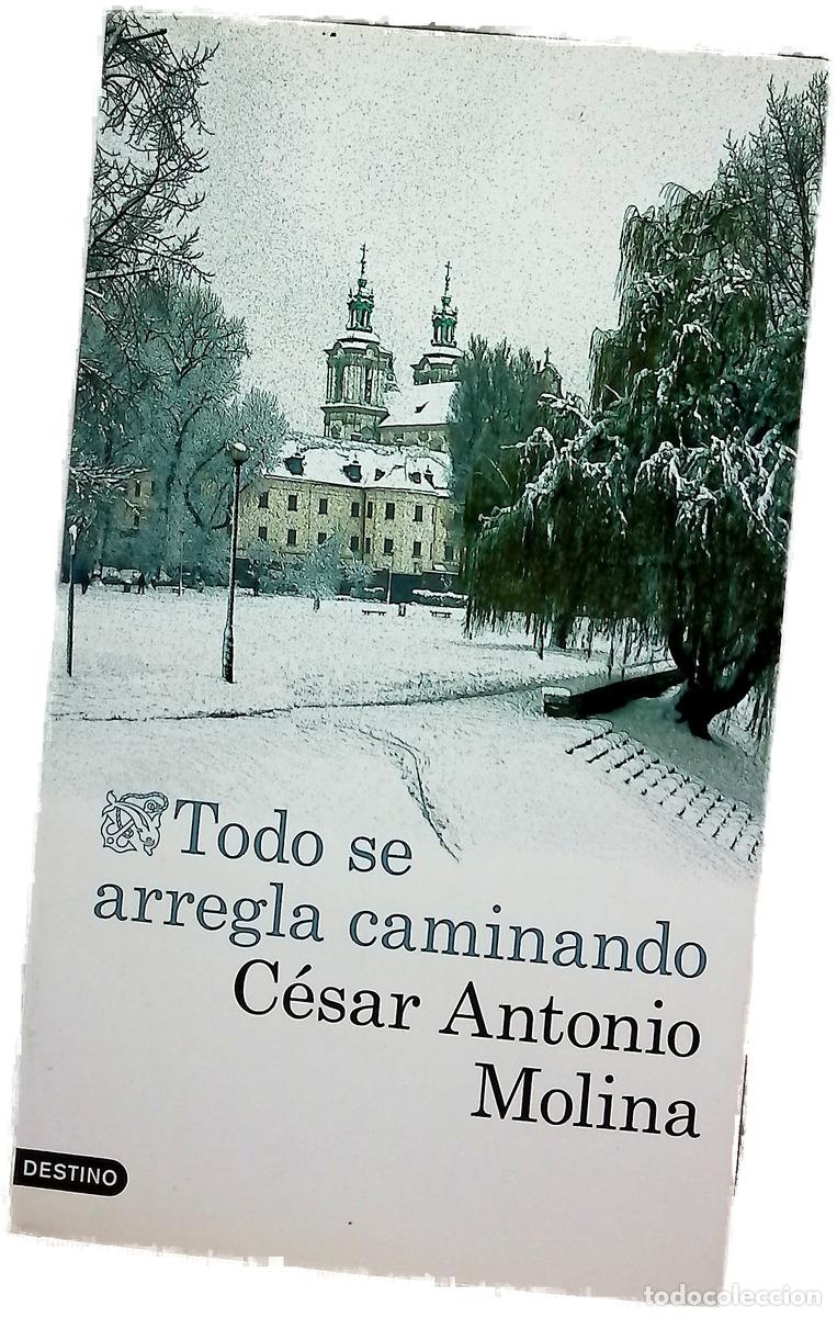 Livres: Todo se arregla caminando
