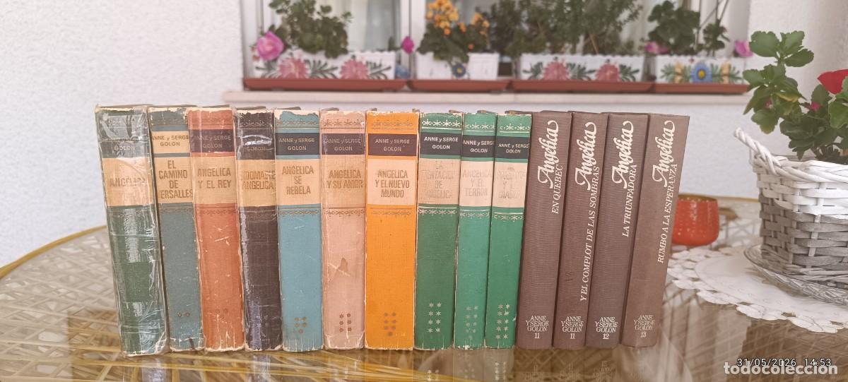 Libros: Colecci&oacute;n completa Libros de Ang&eacute;lica