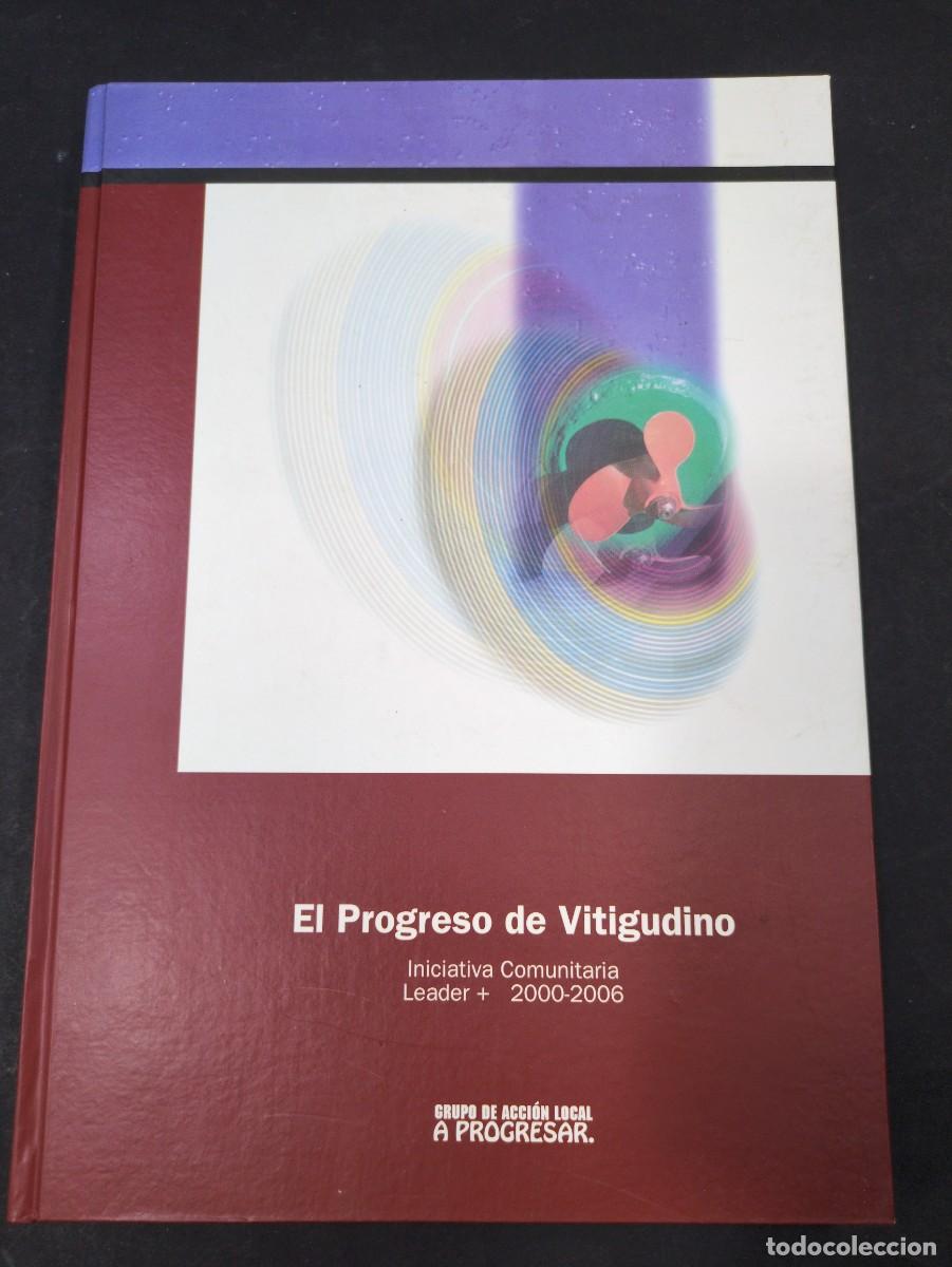 Libros: el progreso de vitigudino iniciativa comunitaria leader + 2000-2006 grupo progresar