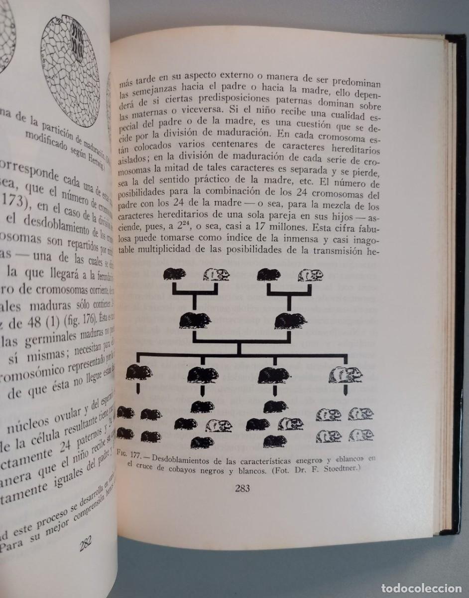 Libros: El hombre y su vida. - VENZMER, Gerhard: - Foto 5