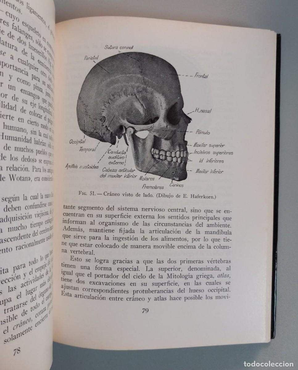 Libros: El hombre y su vida. - VENZMER, Gerhard: - Foto 7