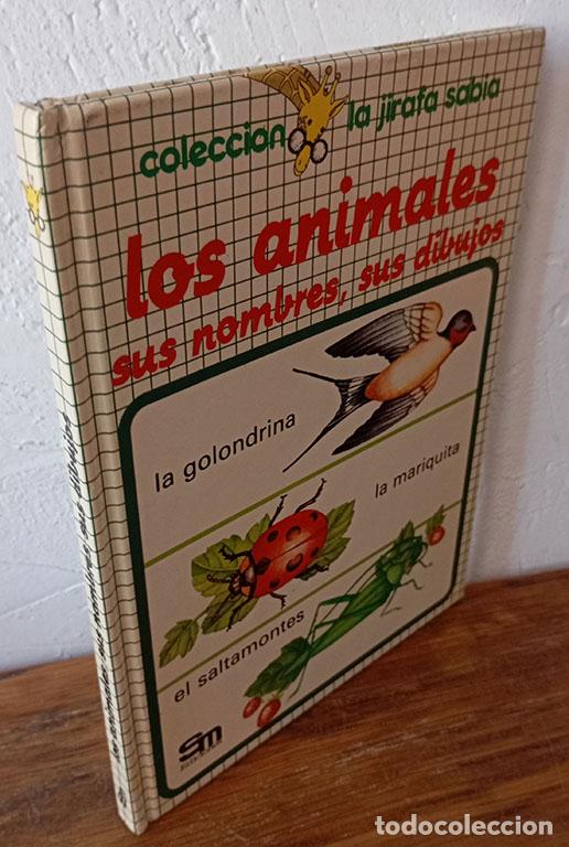 Libros: LOS ANIMALES SUS NOMBRES, SUS DIBUJOS. - FRANKIE MERLIER (Ilustrciones)