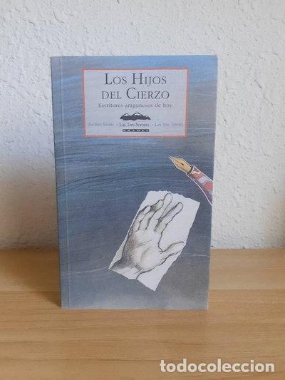 B&uuml;cher: Los hijos del cierzo- 9788495116000
