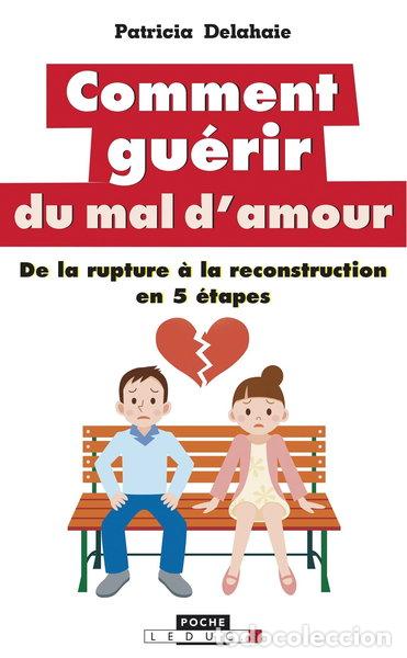 books: Comment gu&eacute;rir du mal d'amour- 9791028501969