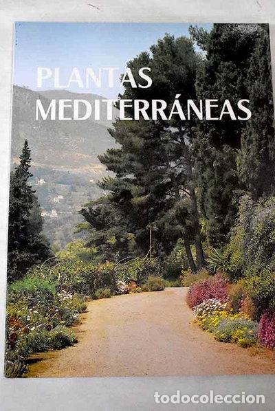 Libri di seconda mano: Plantas Mediterr&aacute;neas- 9788485382071
