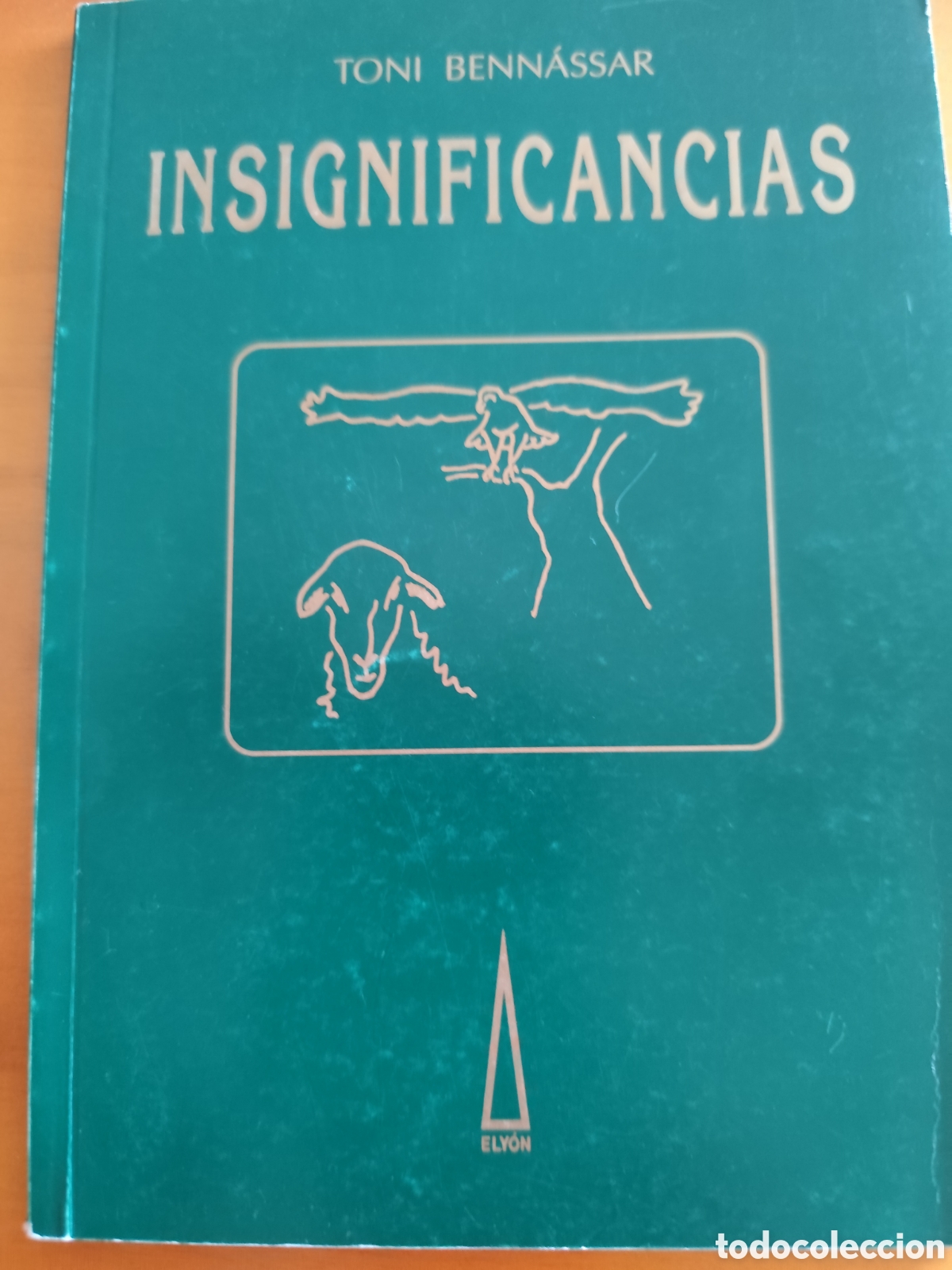 Libros: Insignificancias , Toni Benn&aacute;ssar