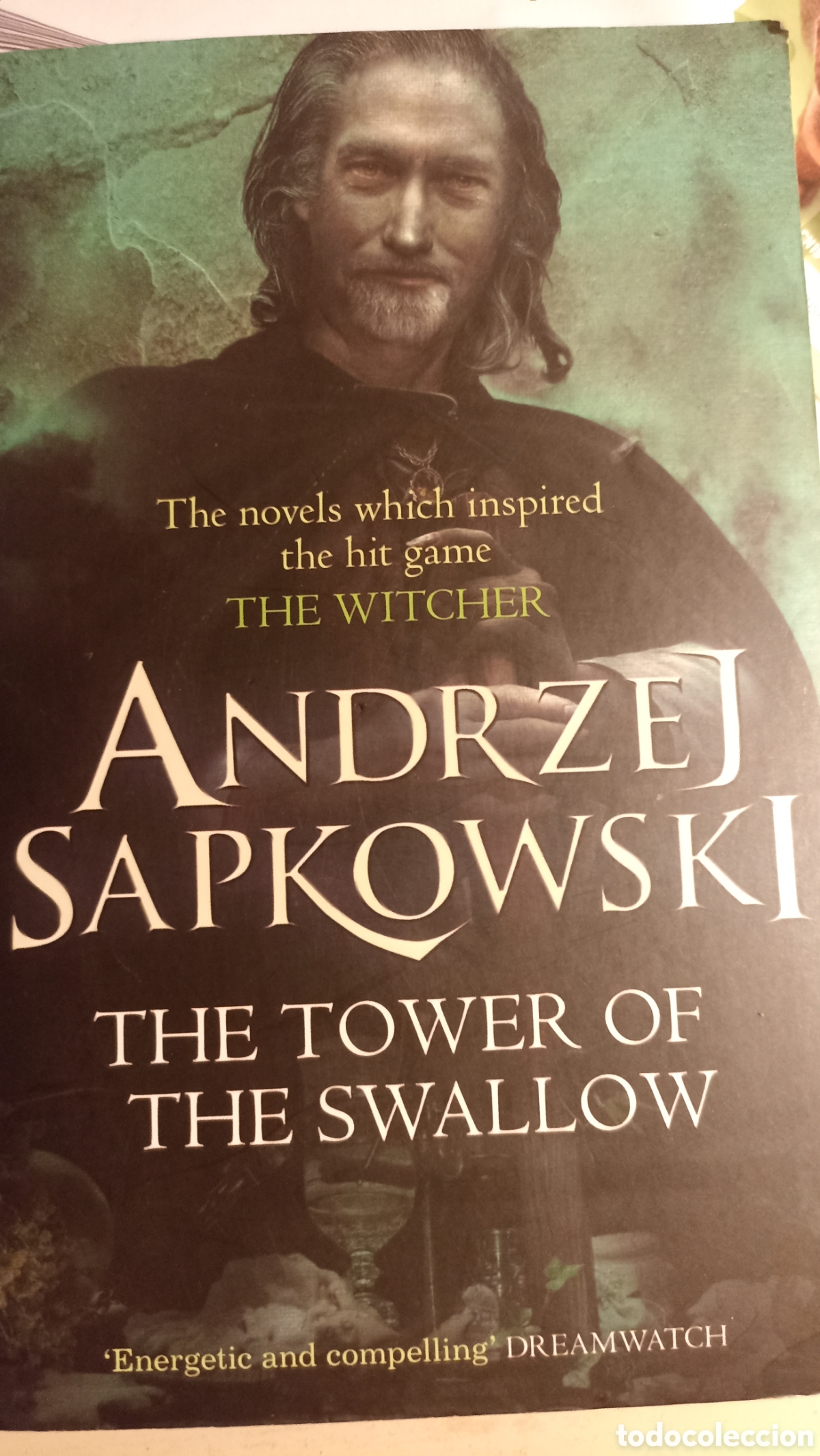 Libros: libro &rdquo;The Tower of the Swallow&rdquo; The Witcher, escrito por Andrzej Sapkowski.