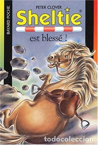 Libros: Sheltie est bless&eacute; !- 9782747011938