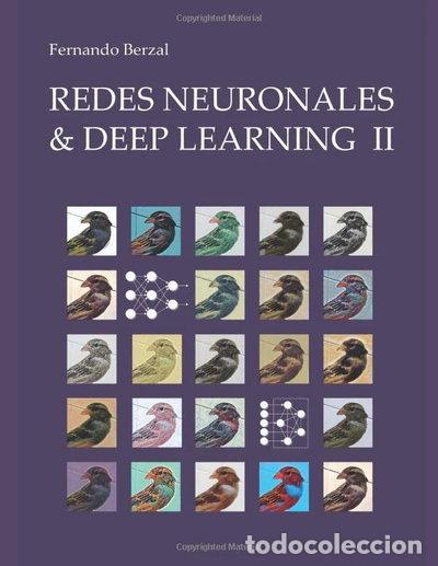 Libros: Redes Neuronales & Deep Learning - Volumen 2- 9781090336880