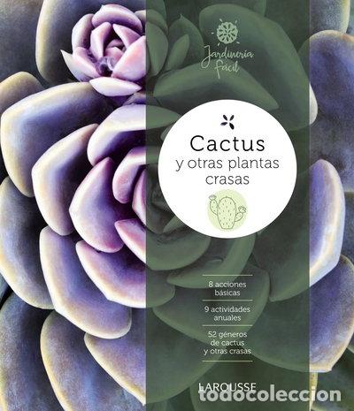 Libros: Cactus y otras plantas crasas- 9788416641857