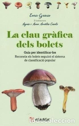 Libri di seconda mano: La clau gr&agrave;fica dels bolets- 9788418243684