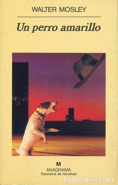 Libros: Un perro amarillo- 9788433908698