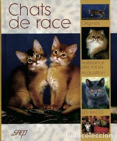 Libri di seconda mano: Chats de race- 9782737246821