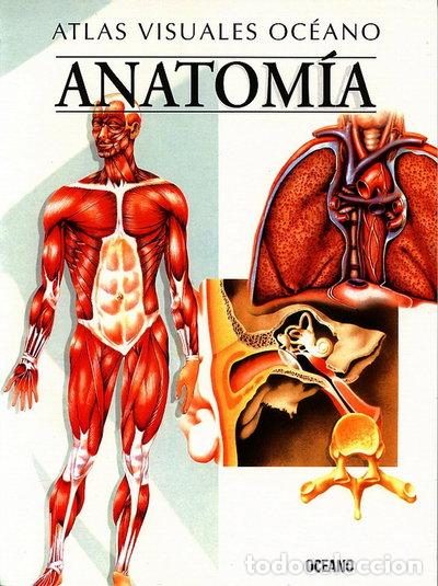Libri di seconda mano: Anatom&iacute;a- 9788449412776