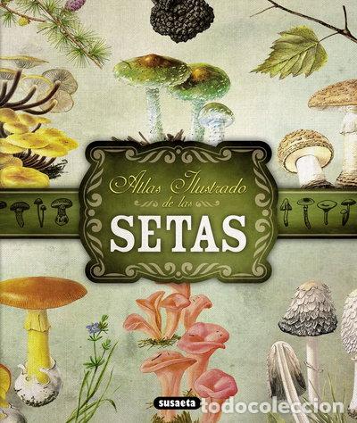 Libros: Setas- 9788467722871
