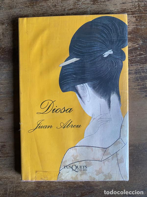 Libros: Diosa - Abreu Juan - Foto 1