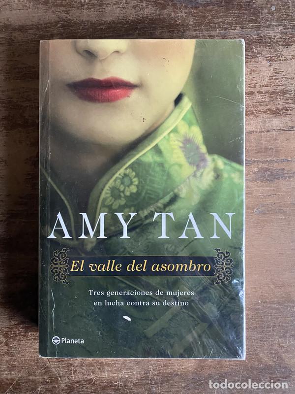 Libros: El valle del asombro - Tan Amy - Foto 1