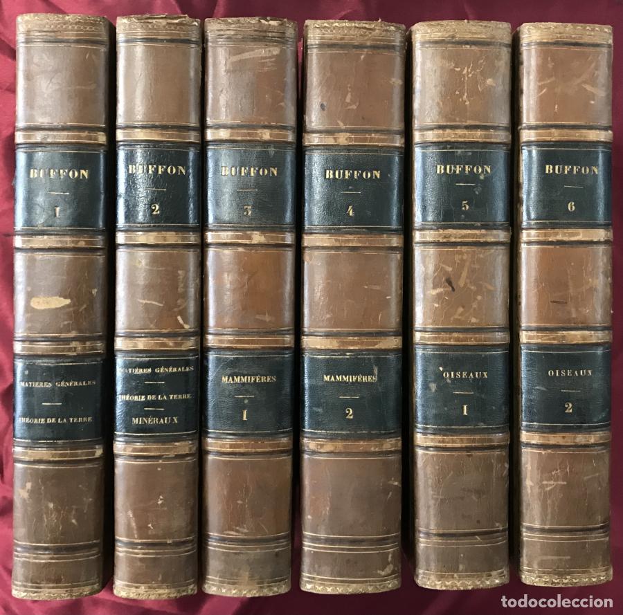 Libros: Oeuvres Completes de Buffon, avec des extraits de Daubenton et la classification de Cuvier 6 volumes - Foto 2