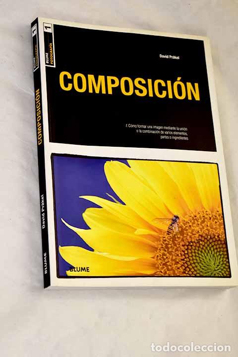 books: Composici&oacute;n: c&oacute;mo formar una imagen mediante la uni&oacute;n o la combinaci&oacute;n de varios elementos