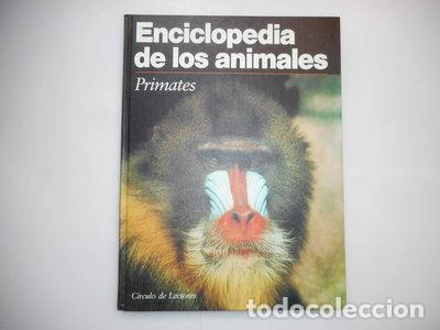 Libros: Enciclopedia de los Animales. Primates- 9788422635284