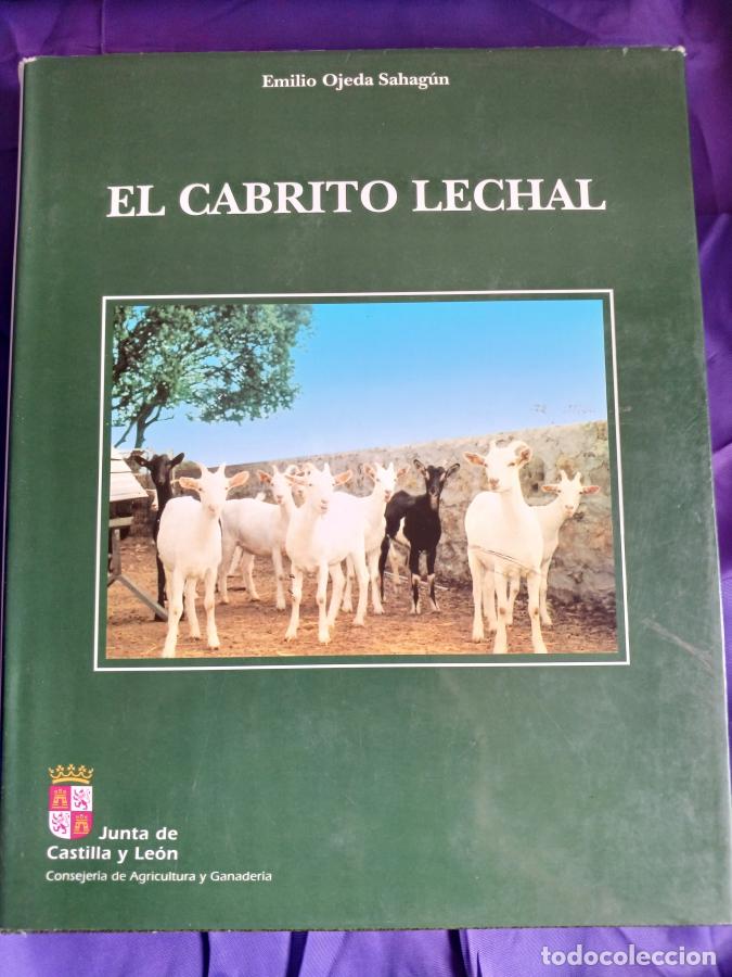 Libros: El cabrito lechal - Ojeda Sahag&uacute;n, Emilio - Foto 2