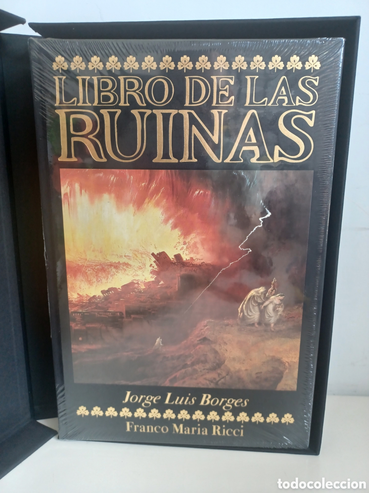 Libros: Libro de las ruinas/ Jorge Luis Borges/ Franco Maria Ricci/ FMR/ NUEVO PRECINTADO