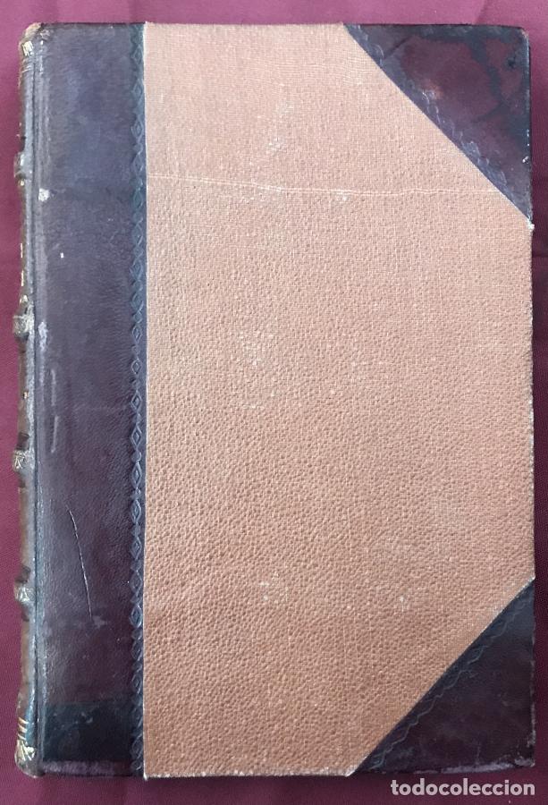 Libri di seconda mano: Luces y sombras: Nuevas p&aacute;ginas, secretos &iacute;ntimos que pueden correr de boca en boca - Selgas, Jos&eacute;