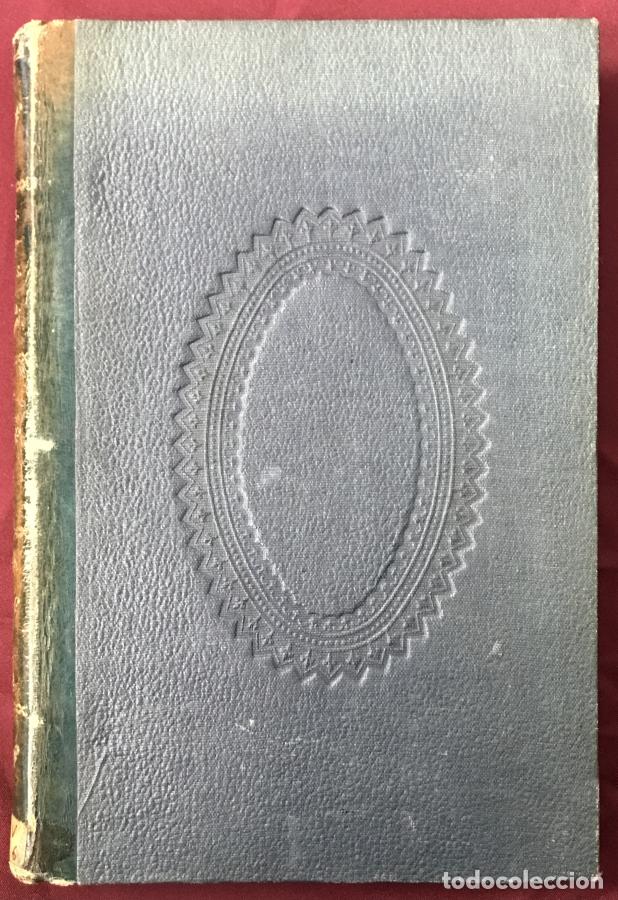 B&uuml;cher: Cosas del d&iacute;a, continuaci&oacute;n de las delicias del nuevo para&iacute;so - Selgas, Jos&eacute;