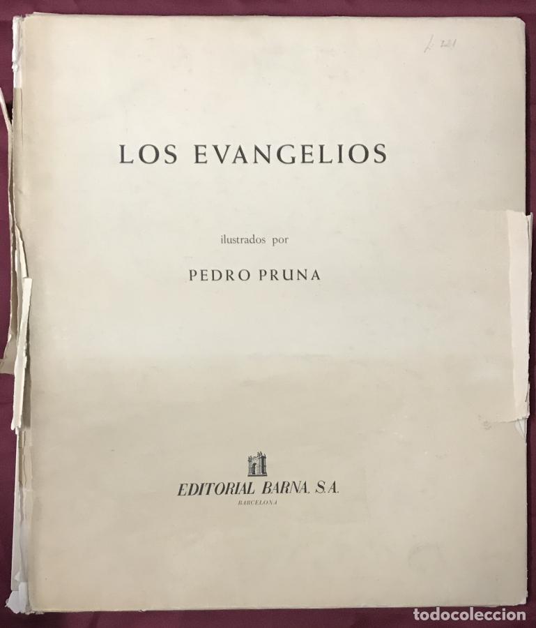 B&uuml;cher: Los Evangelios ilustrados por Pedro Pruna -