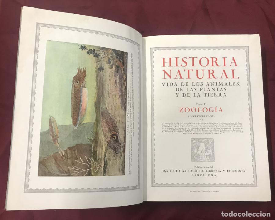 Libri di seconda mano: HISTORIA NATURAL. VIDA DE LOS ANIMALES DE LAS PLANTAS Y DE LA TIERRA. TOMO II. ZOOLOG&Iacute;A (INVERTEBRAD