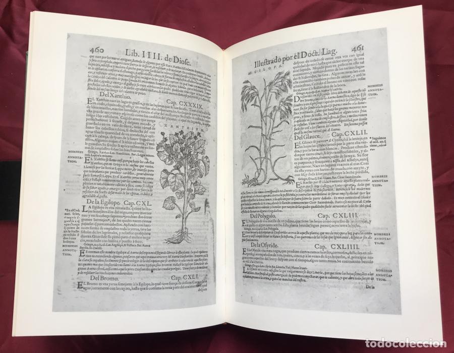 Libros: Pedacio Diosc&oacute;rides Anazarbeo - Diosc&oacute;rides, Andr&eacute;s Laguna - Foto 8