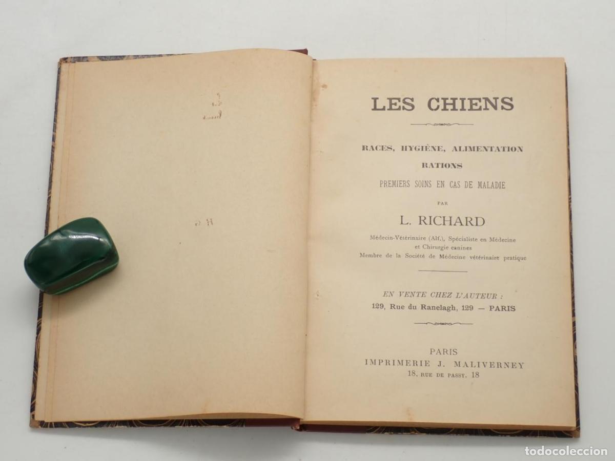 Libros: Les chiens. Races, hygi&egrave;ne, alimentation, rations. Premiers soins en cas de maladie - RICHARD, L.