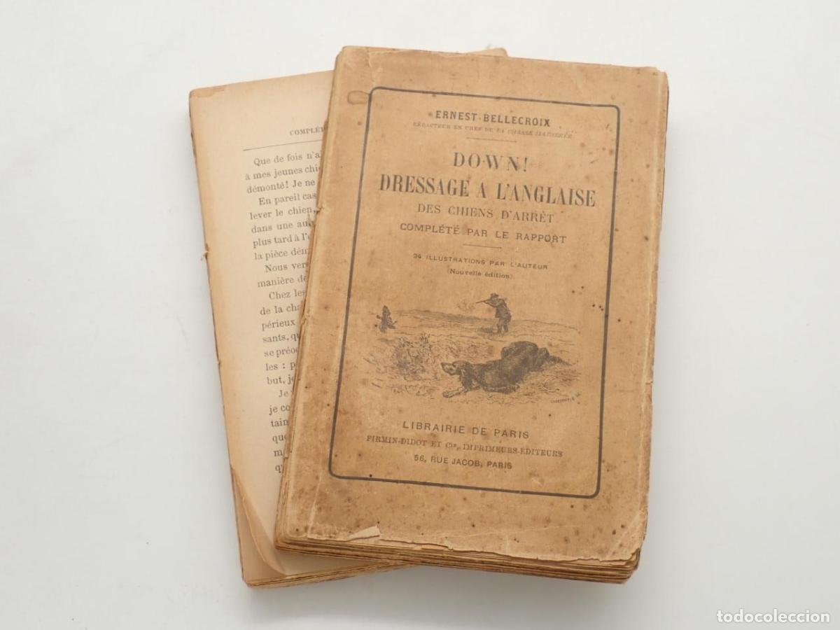 Libros: Down! Dressage &agrave; l'anglaise des chiens d'arr&ecirc;t. Compl&eacute;t&eacute; par le rapport - BELLECROIX, Ernest