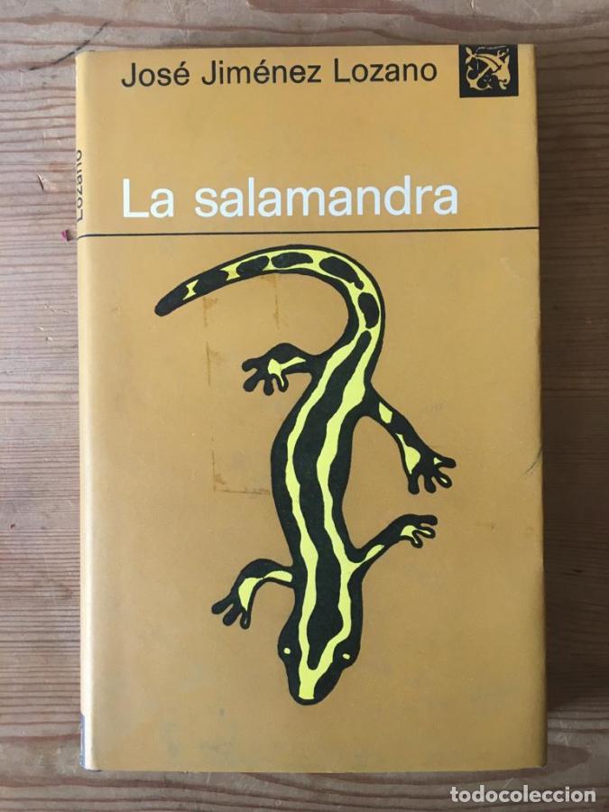 Libros: La salamandra - Jim&eacute;nez Lozano, Jos&eacute; - Foto 1