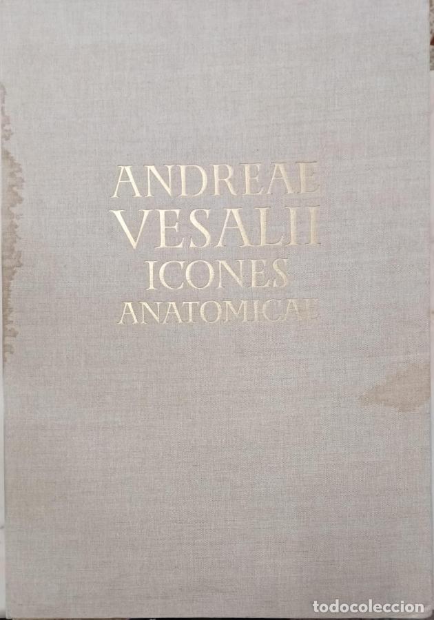 Libros: Andrea Vesalii Icones Anatomicae - Vesalio - Foto 3