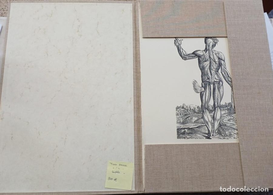 Libros: Andrea Vesalii Icones Anatomicae - Vesalio - Foto 5
