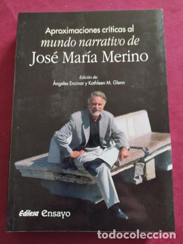 B&uuml;cher: Aproximaciones cr&iacute;ticas al mundo narrativo de Jos&eacute; Mar&iacute;a Merino - Encinar, &Aacute;ngeles; Glenn, Kathleen