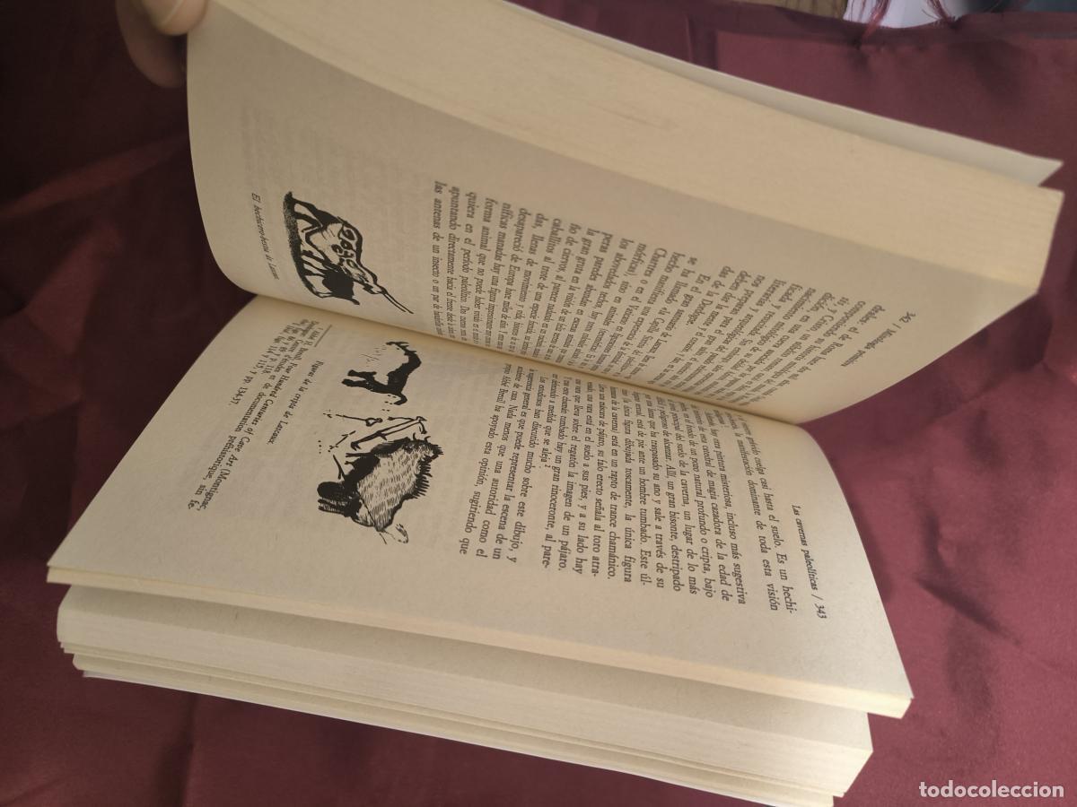 Libros: Las m&aacute;scaras de Dios. Mitolog&iacute;a primitiva - Campbell, Joseph - Foto 6