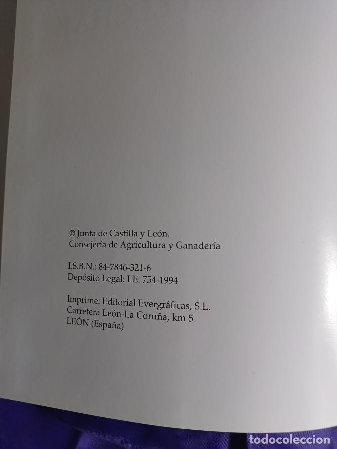 Libros: El cabrito lechal - Ojeda Sahag&uacute;n, Emilio - Foto 3