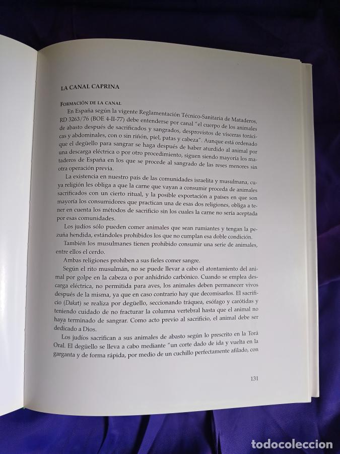 Libros: El cabrito lechal - Ojeda Sahag&uacute;n, Emilio - Foto 5