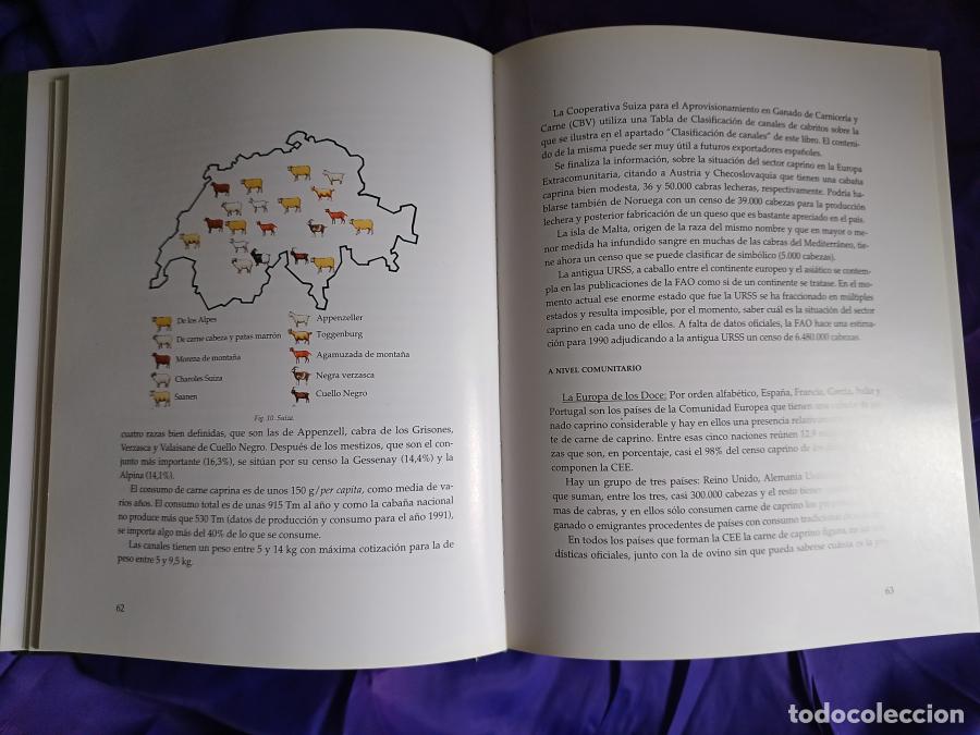 Libros: El cabrito lechal - Ojeda Sahag&uacute;n, Emilio - Foto 6