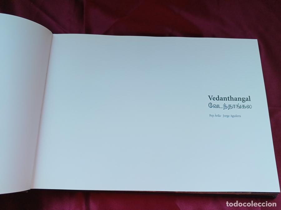 Libros: Vedanthangal - &Aacute;vila, Pep - Jorge Aguilera - Foto 3