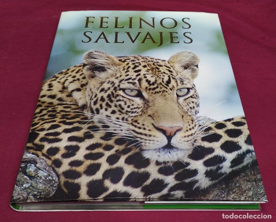 books: Felinos salvajes - Briggs, Mike y Peggy